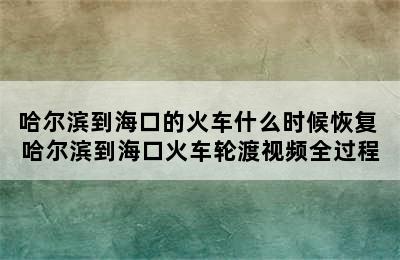 哈尔滨到海口的火车什么时候恢复 哈尔滨到海口火车轮渡视频全过程